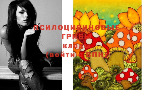 мдма Михайловск